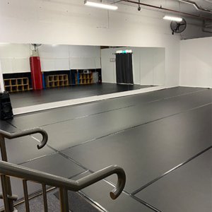Dance Room 2 Downstairs - Hire (79sqm)