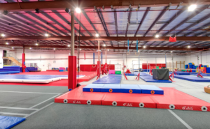 Extra participants for Gym Hire / Sprung Floor Hire