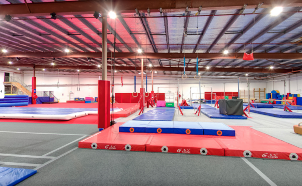Gym hire for Private lessons
