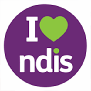 Ninja / Parkour NDIS - Trial